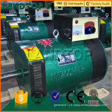 Chinese top AC alternator generator